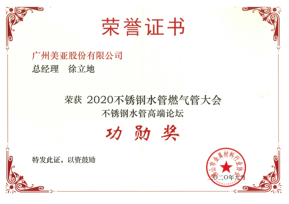 2020 Merit Award